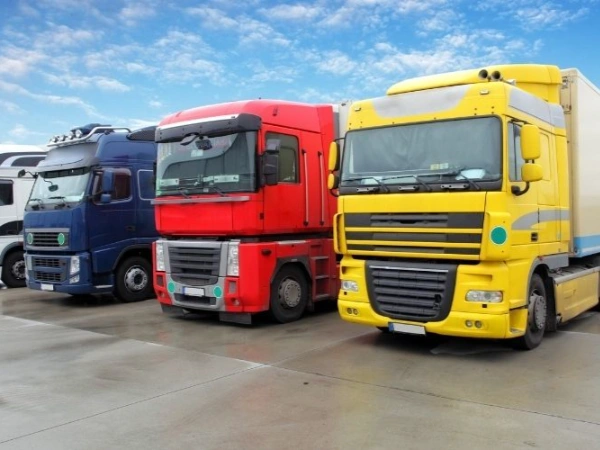 İzmir Amasra Nakliye